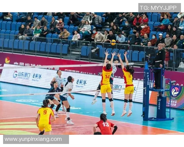 排球团队协作实力大比拼北京排球队荣登榜首引发关注