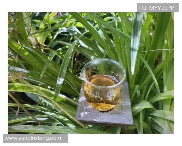 足球明星华丽转身西装MV展现魅力与风采的完美结合